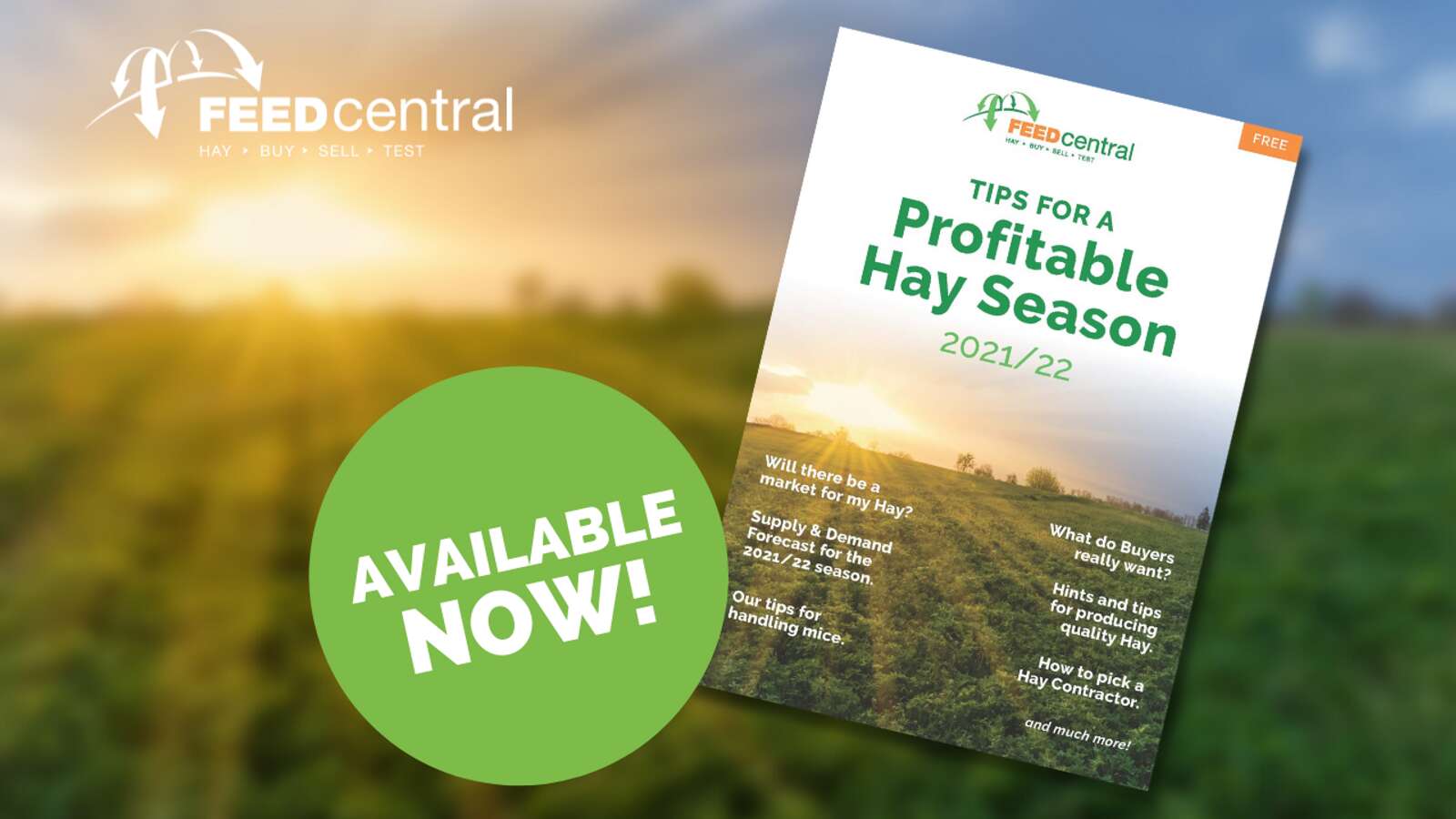 Tips to help hay growers have a profitable season Country News