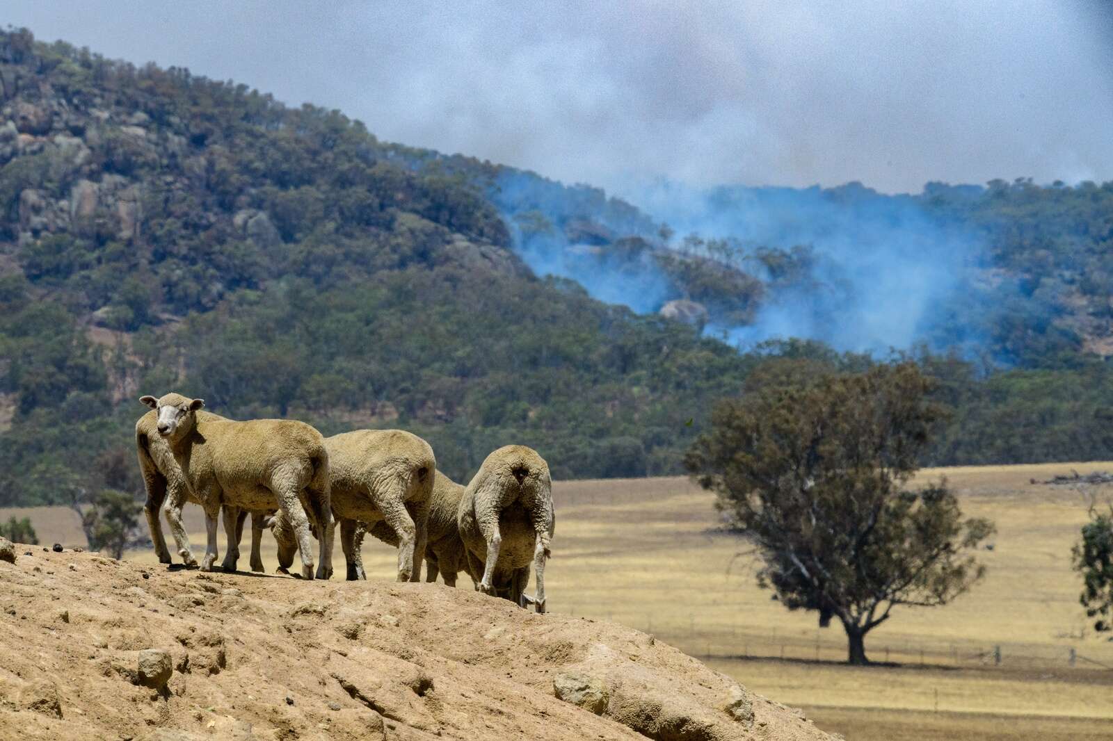 On the ground support for fire affected farmers