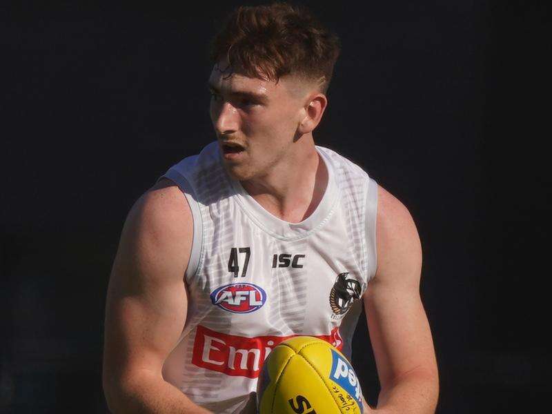 Crows sign exCollingwood defender Keane Dairy News Australia