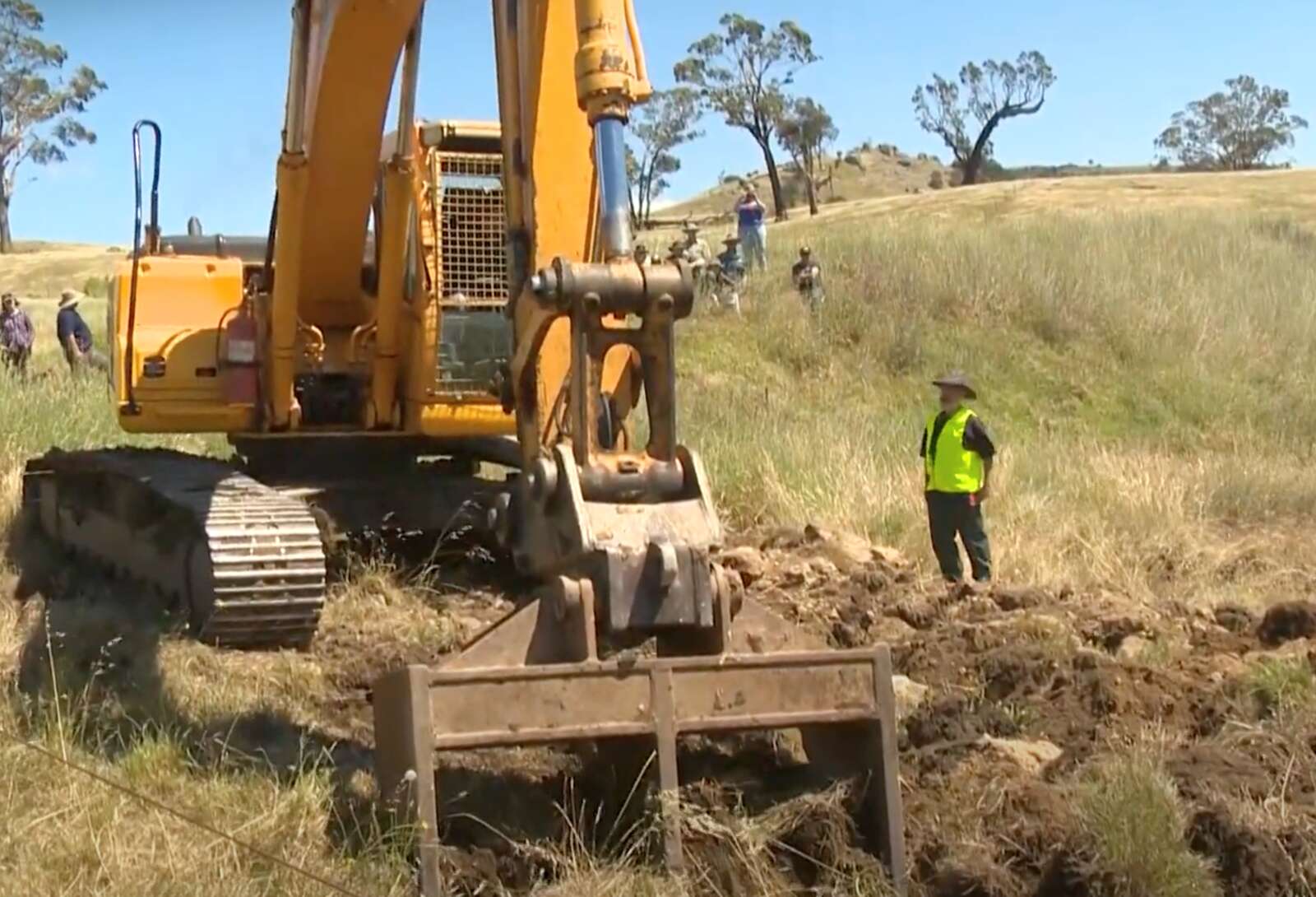 Grant to help community take control of rabbits | Country News