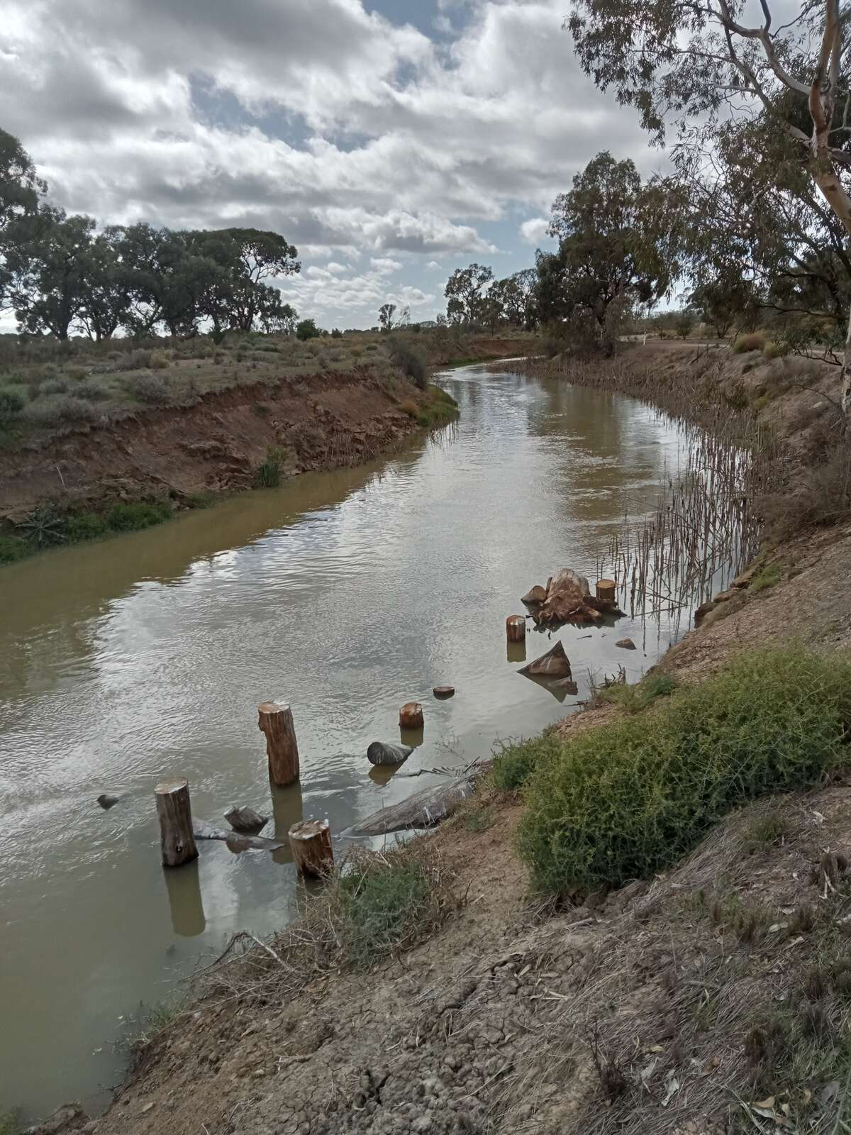 Flows and snags restore creek Country News
