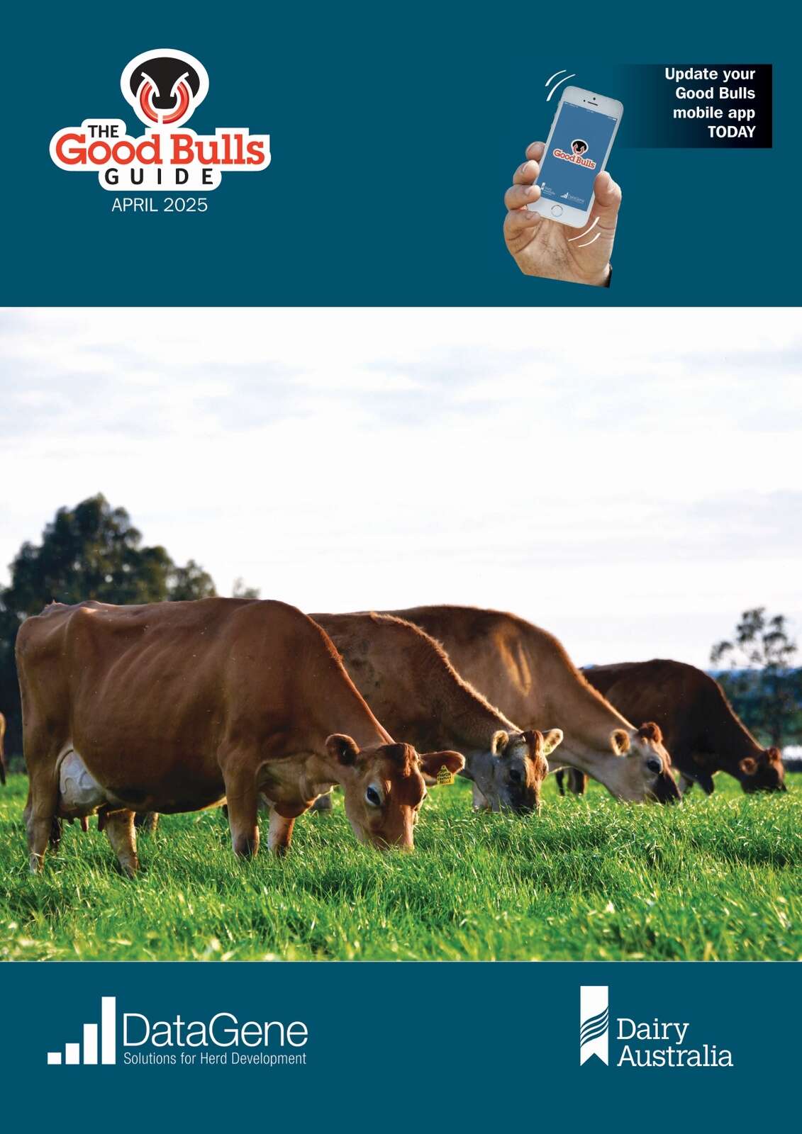 Making breeding decisions easy | Shepparton News