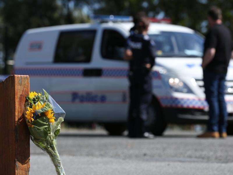 Dozen murder accused plead not guilty to park killing | Shepparton News