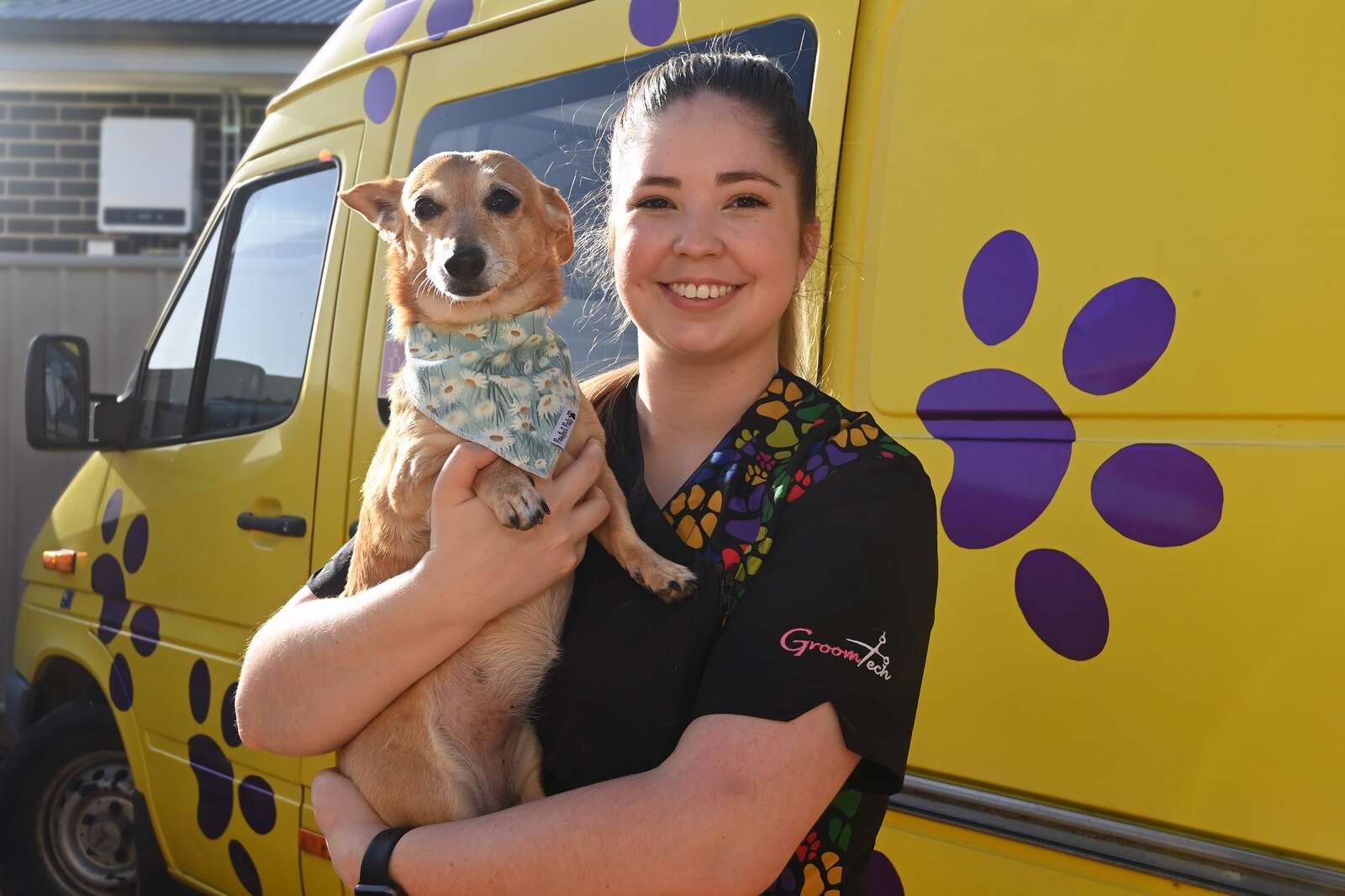 Pamper your pooch at Dashing Dogs Grooming | Shepparton News