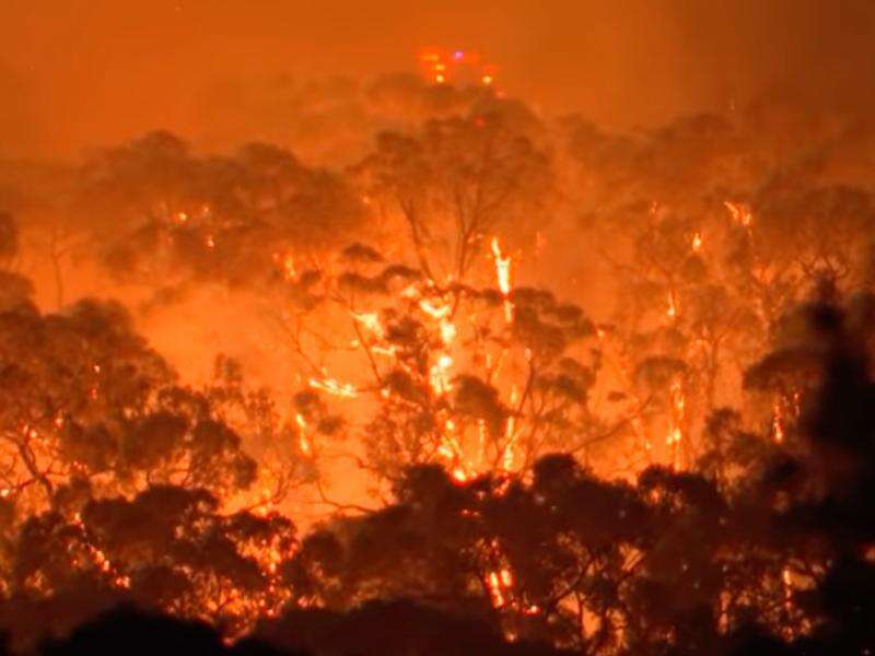 Home lost as crews take on large suburban bushfire | Shepparton News