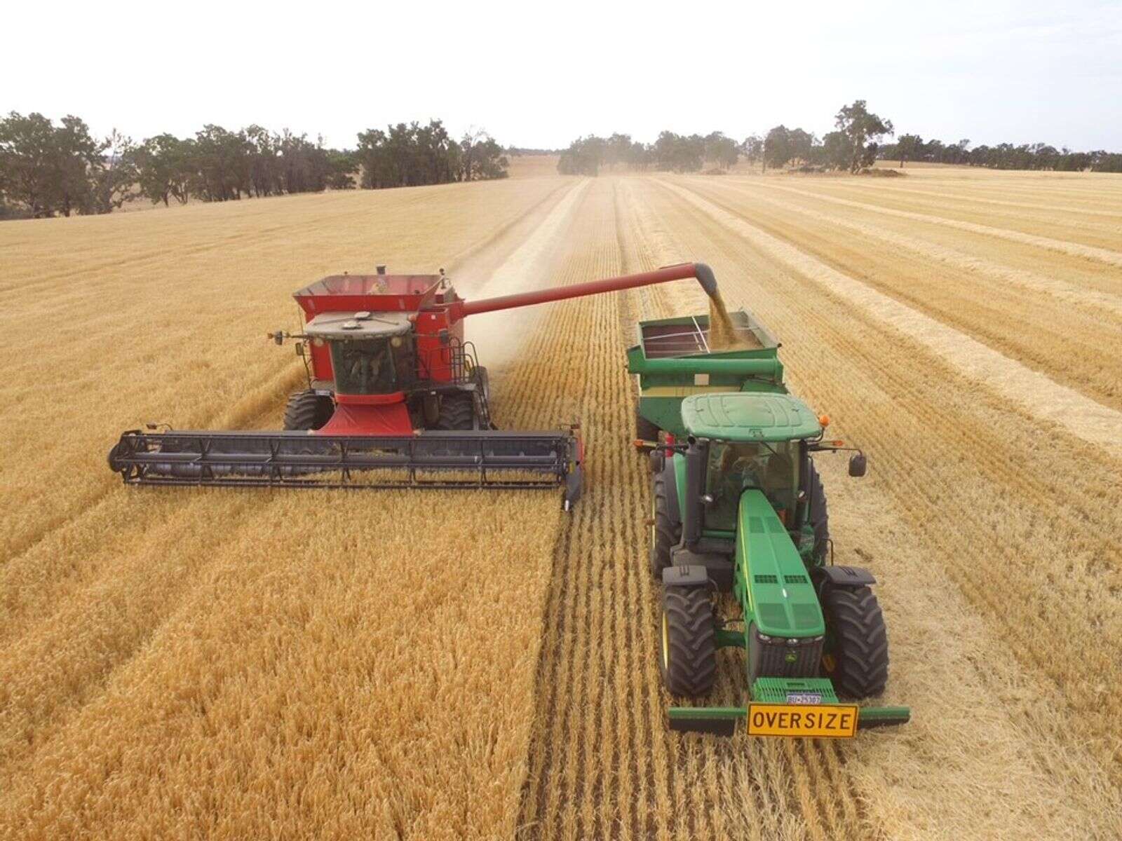 Huge harvest a ‘fantastic result’ Country News