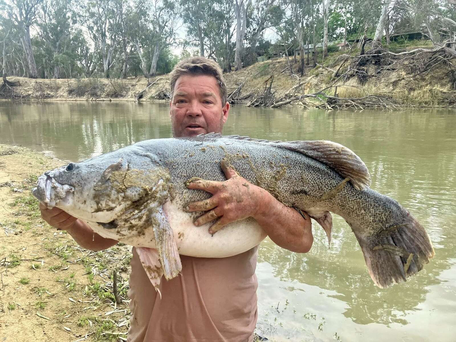 Fish of the week | Shepparton News