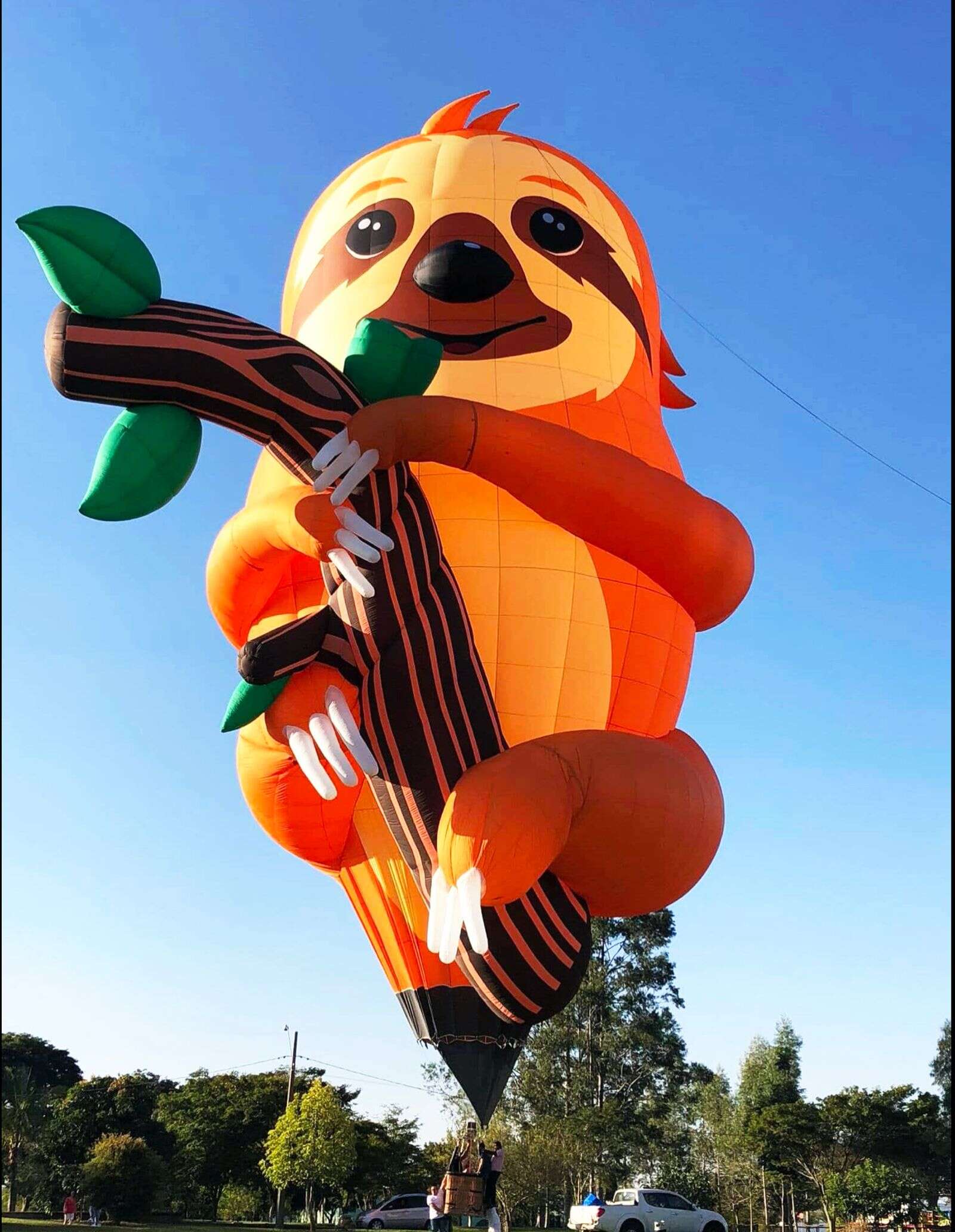 Up up and away — hot air balloon festival is back Shepparton News