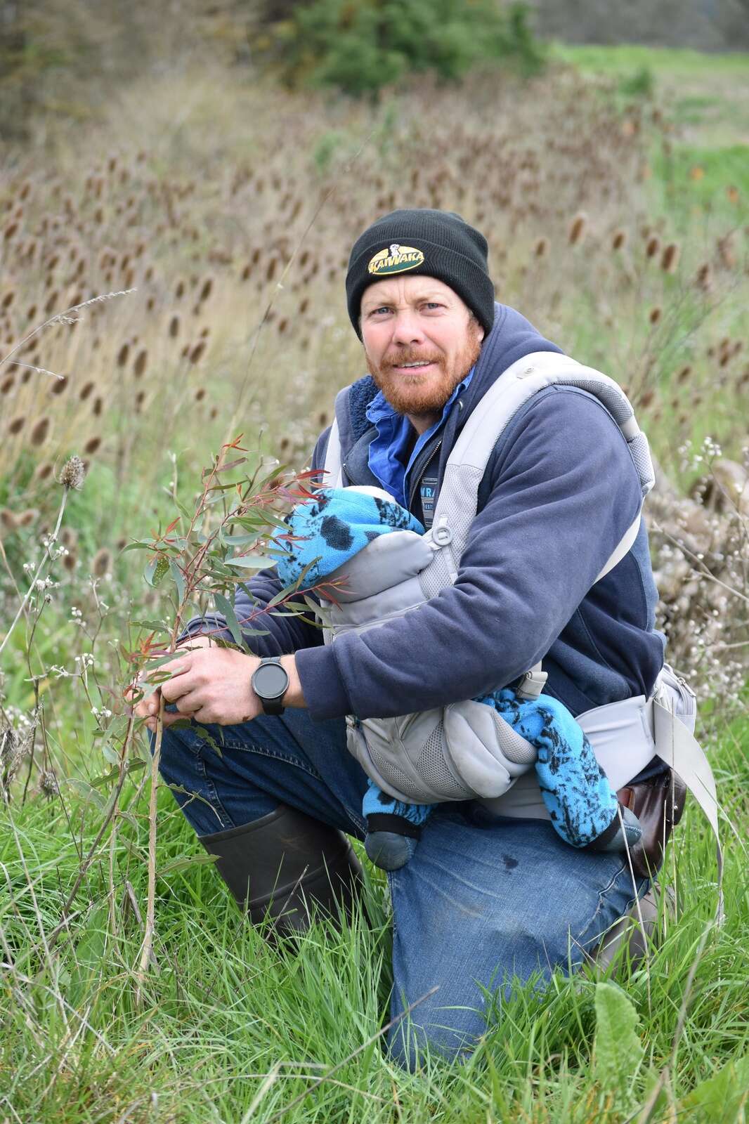 Program helps farmers cope with conditions | Country News