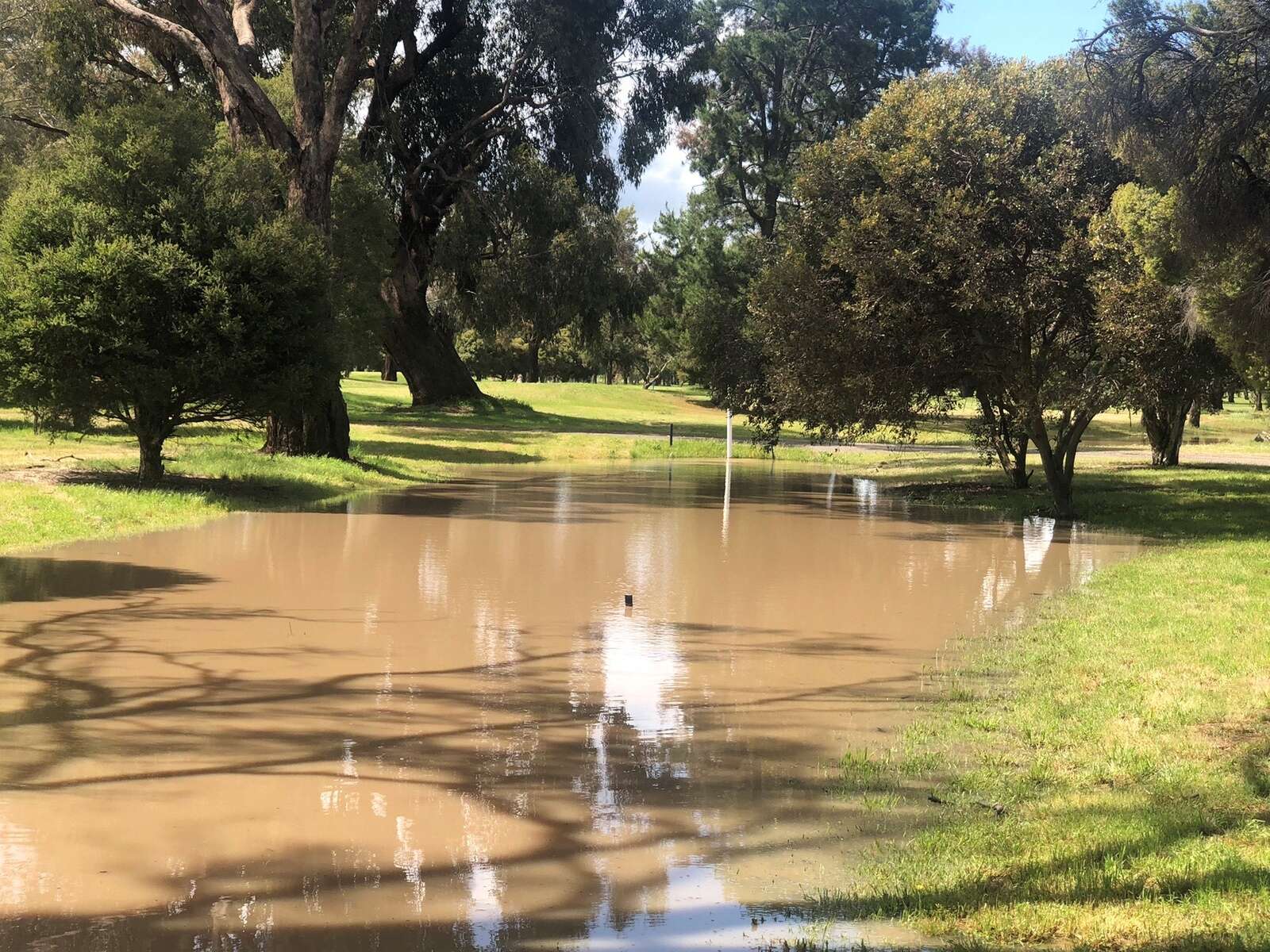‘A devastating blow’: Flooding wreaks havoc on Kialla Golf Club 