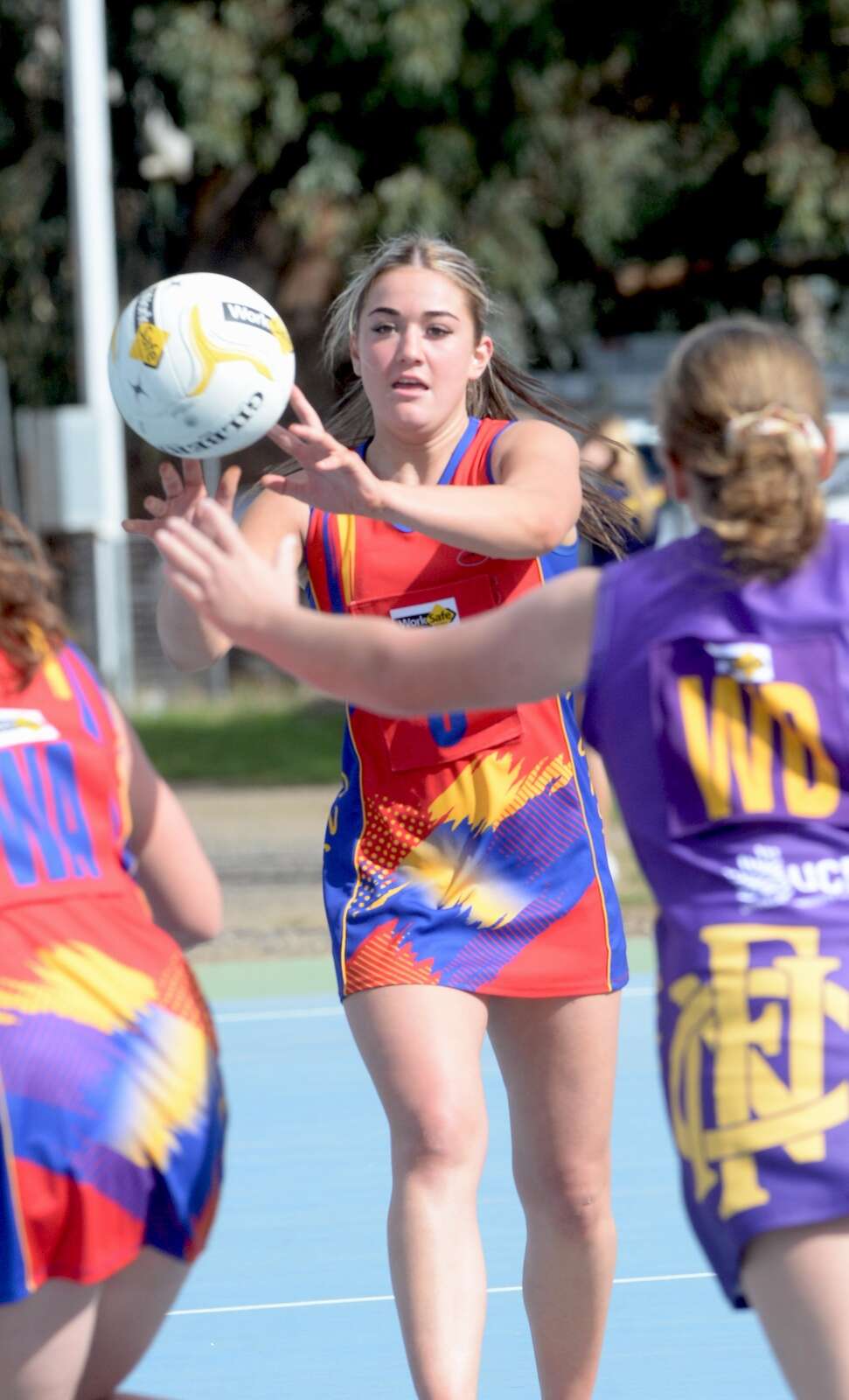 Lionesses mixed day Yarrawonga Chronicle