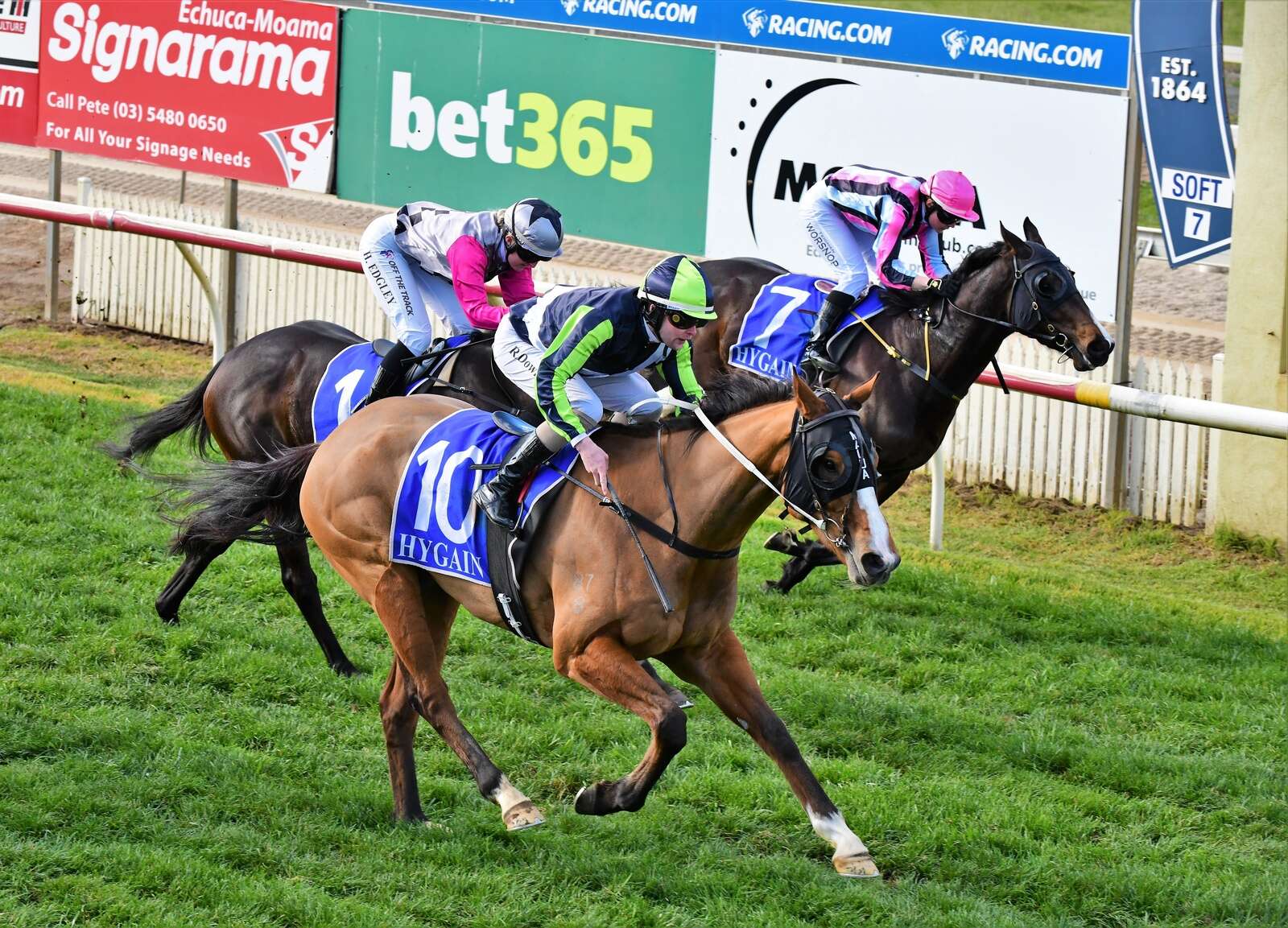 Echuca hosts bumper race meeting | Shepparton News