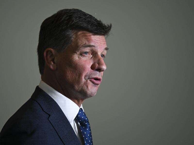 Higher taxes will kill innovation: Taylor | Country News