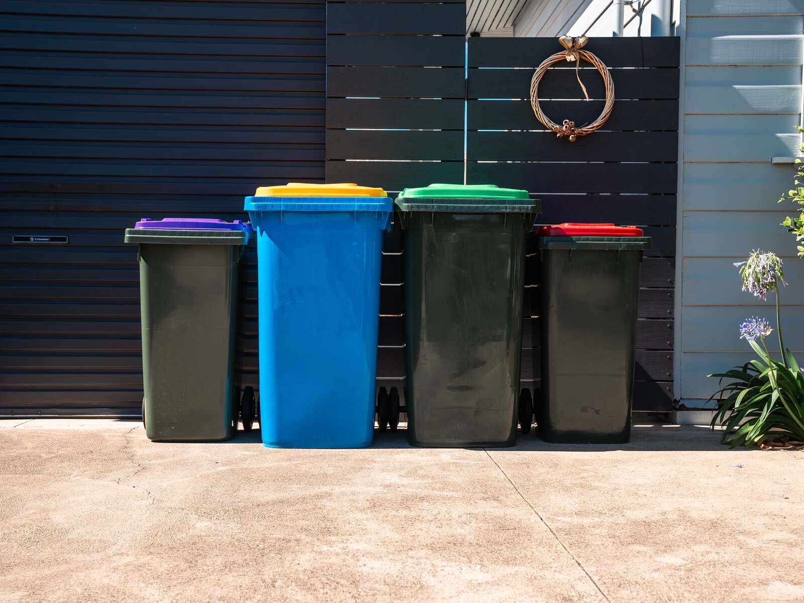 Purple bins to hit Moira Shire streets this month Cobram Courier