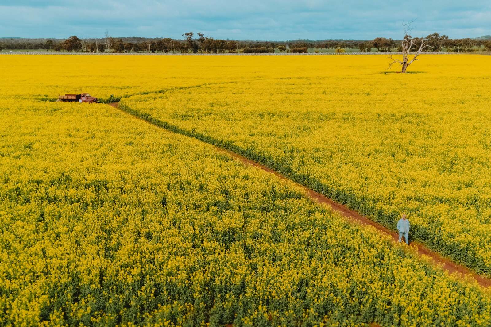 Around the region | A sea of tourist gold to wander through
