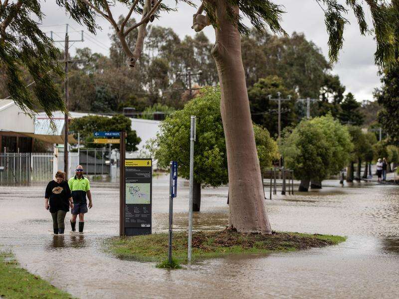 Homes and drivers at risk as Vic flood threat shifts - Vimarsana News
