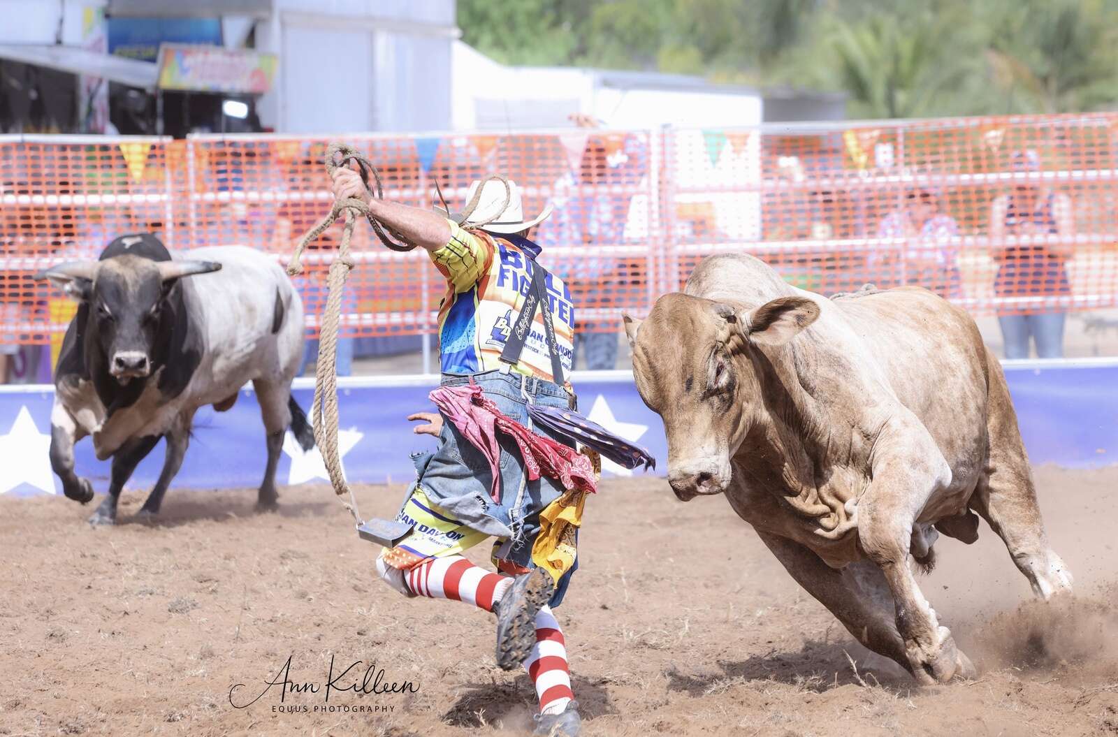 1500 at rodeo’s long-awaited return | Country News