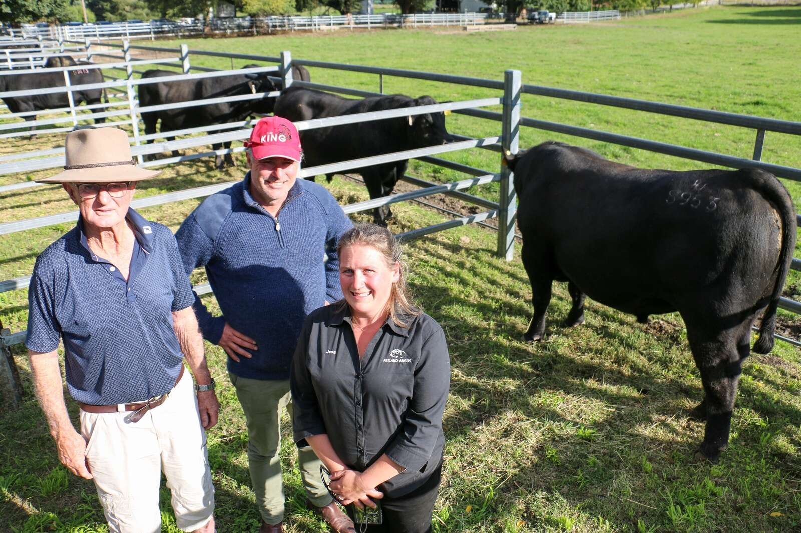 Commercial producers back in the game Country News