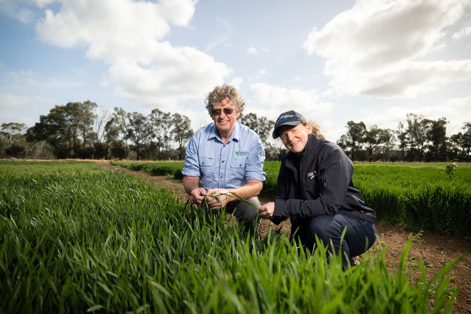 Breaking into forage cropping | Shepparton News