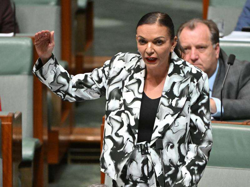 Youth to have a voice within federal govt | Country News