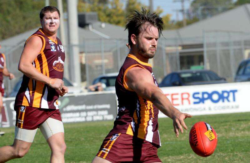 Bears tough day at the office | Dairy News Australia