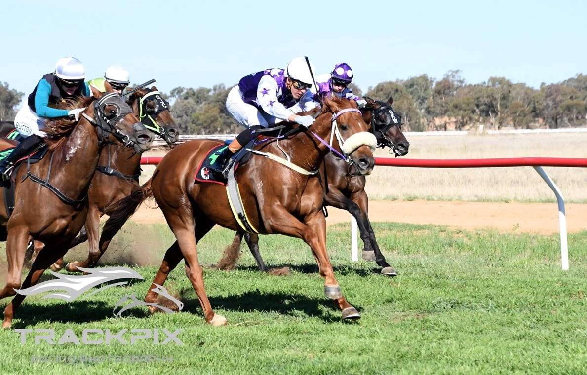 Finley Autumn Cup a day of thrilling country racing | Cobram Courier