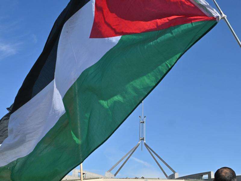 Attempt for Palestine recognition fails parliament | Shepparton News