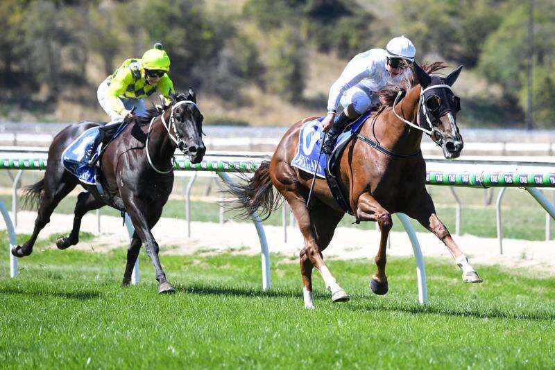 A homegrown star continues to rise at Echuca racing stable | Riverine ...