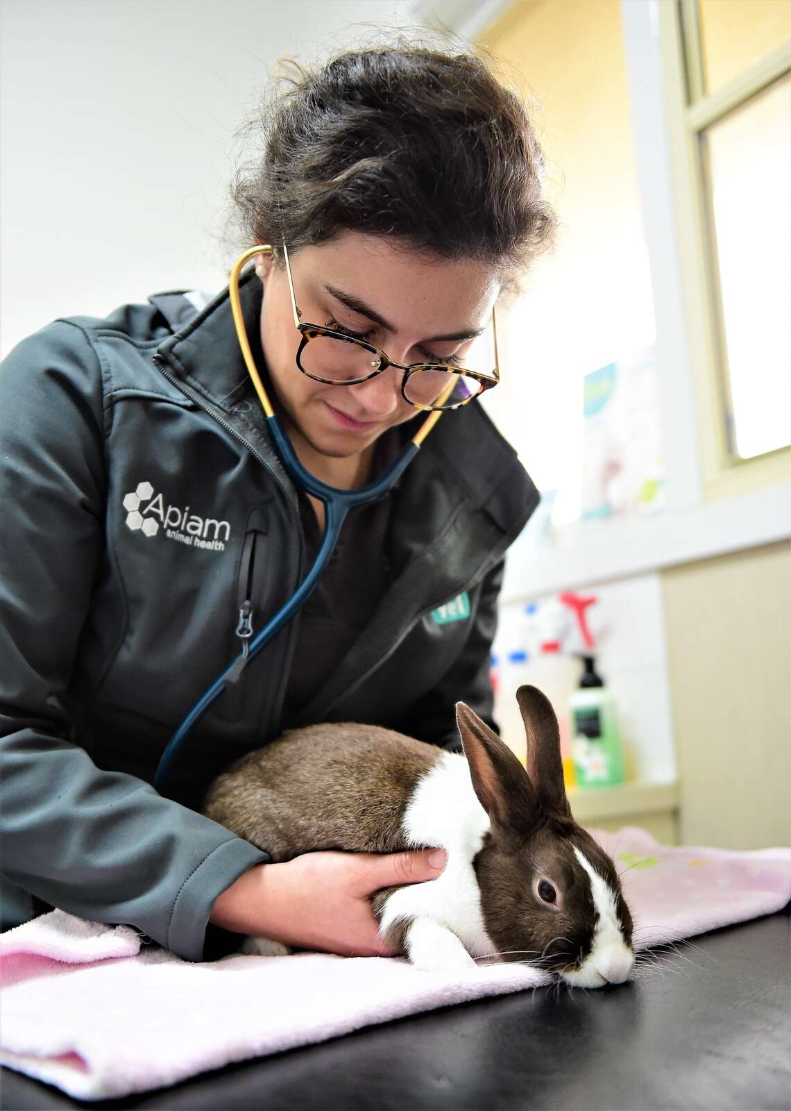 Bunnies needs more care Riverine Herald