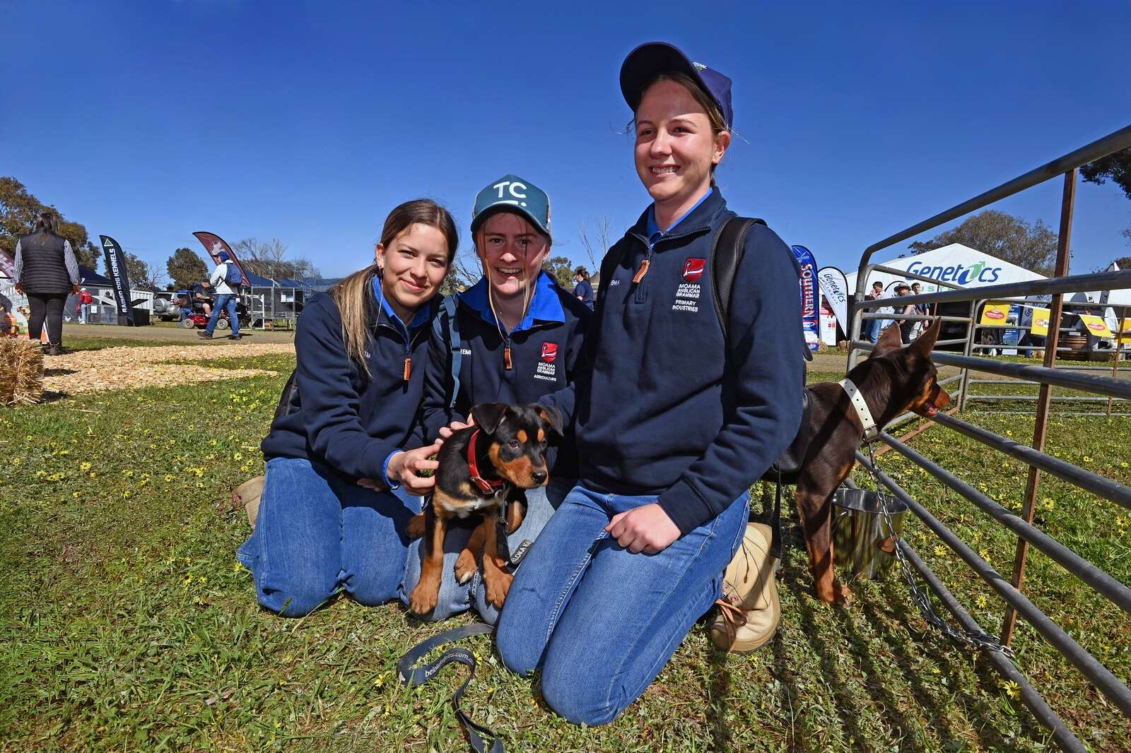 GALLERY | Crowds flock to field days | Dairy News Australia