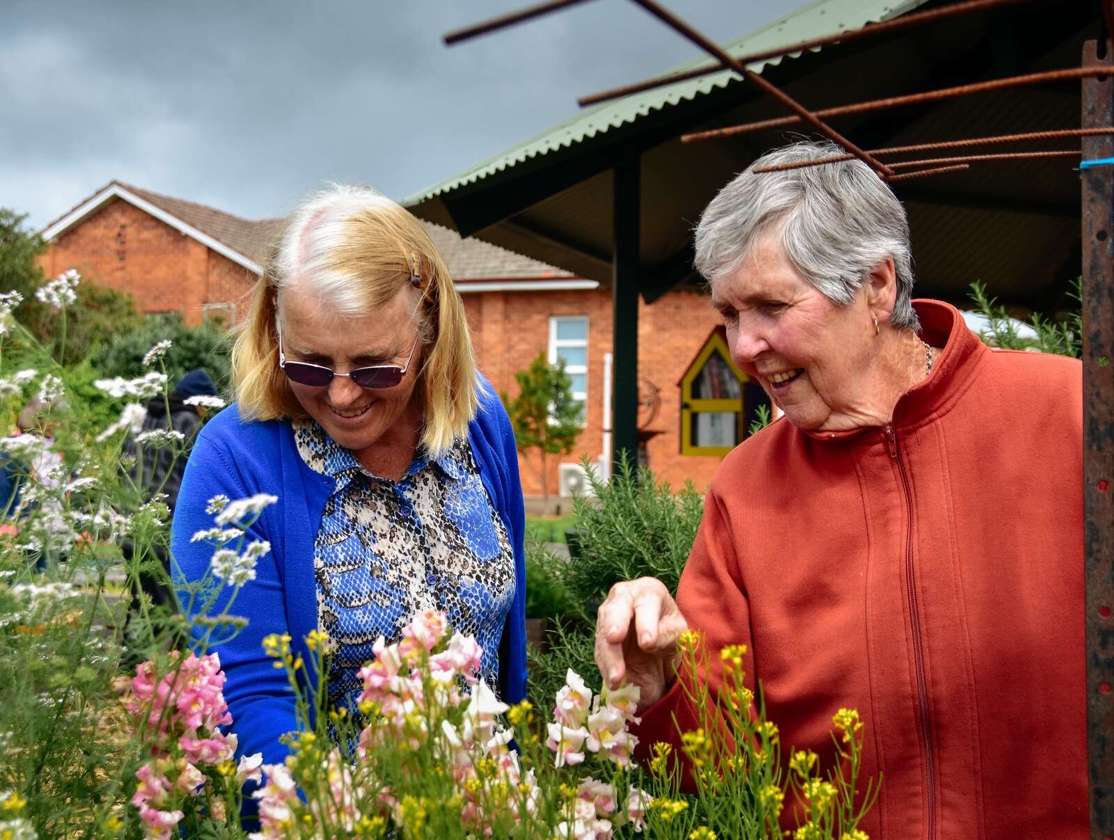 Giant plant sale returns Corowa Free Press