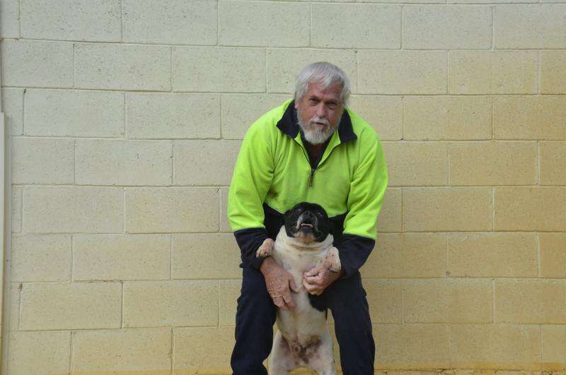 Doggy daycare and feline fun at Shepparton Boarding Kennels and Cattery