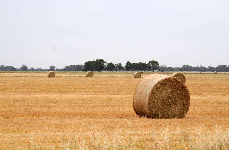 Water for Fodder applications open | Country News