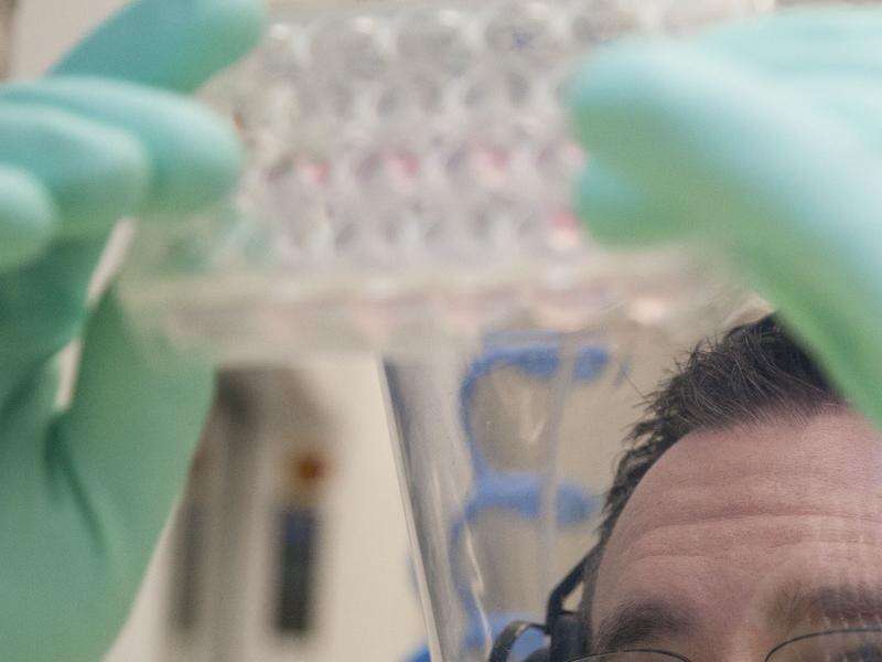 New pandemic drugs centre for Melbourne Shepparton News