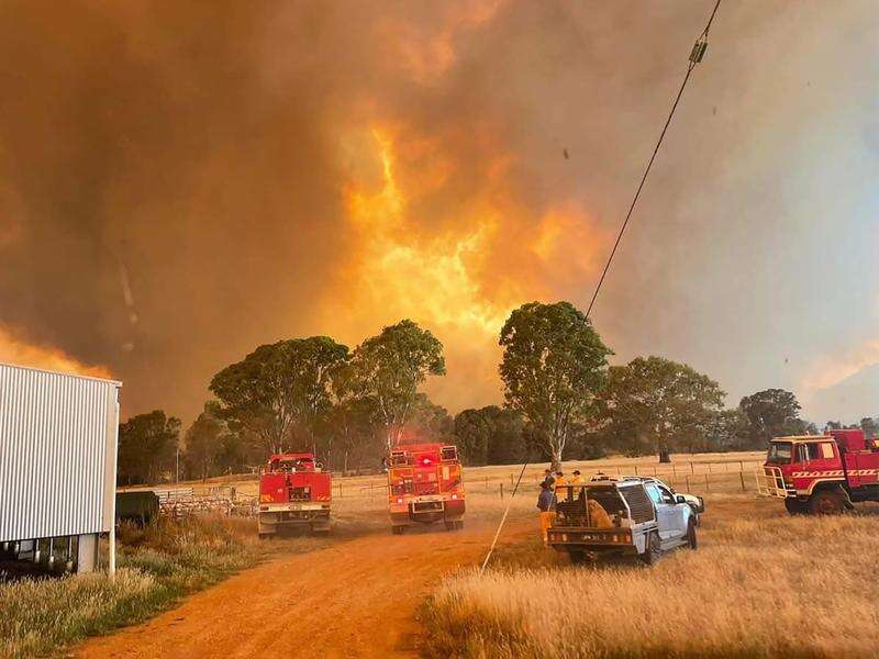 Dangerous fire threat rises amid scorching conditions | Cobram Courier
