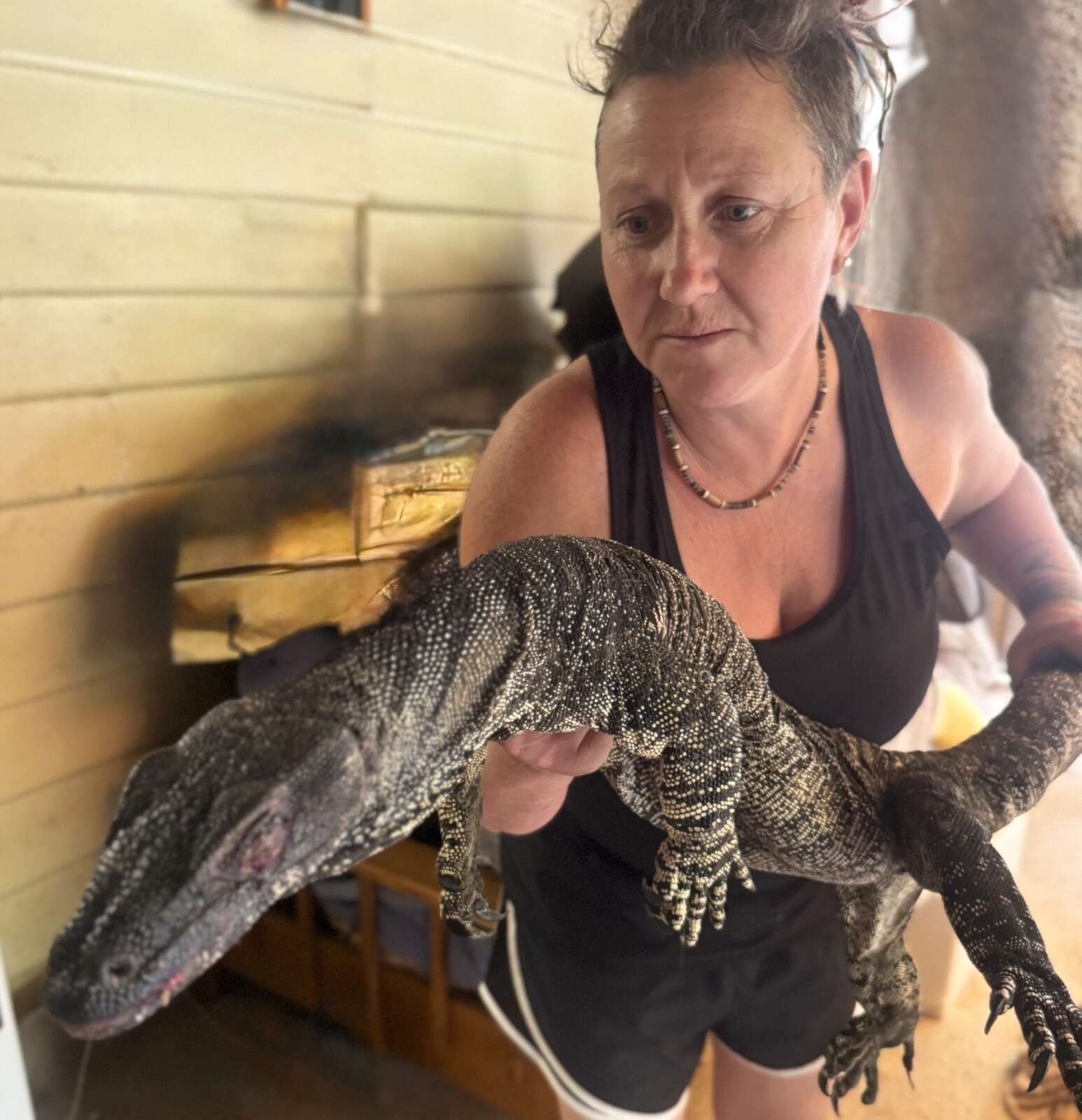 Local wildlife rescuer ‘blown away' by nomination for prestigious awards