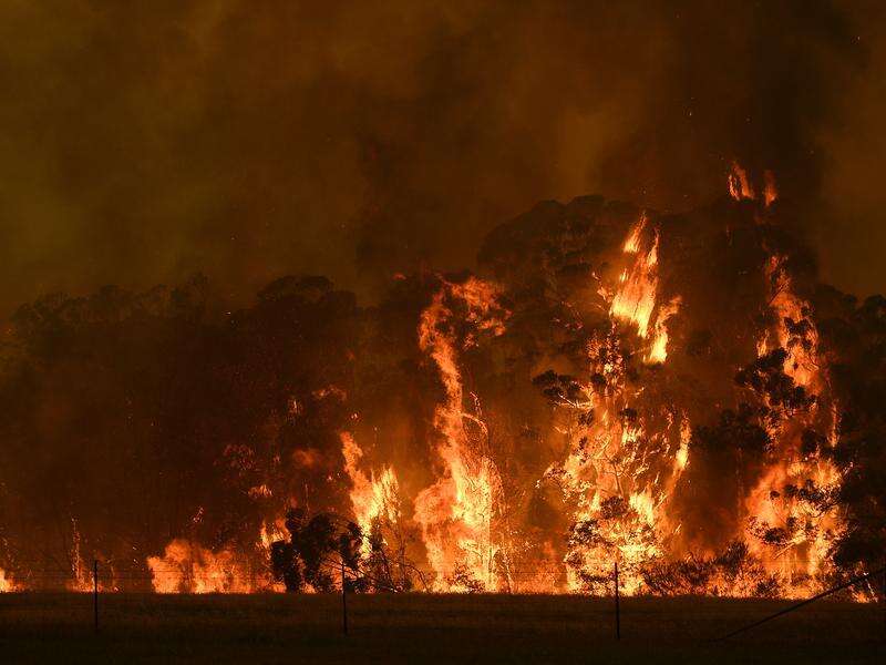 Bushfires in 2019 warmed sky like volcano | Kyabram Free Press