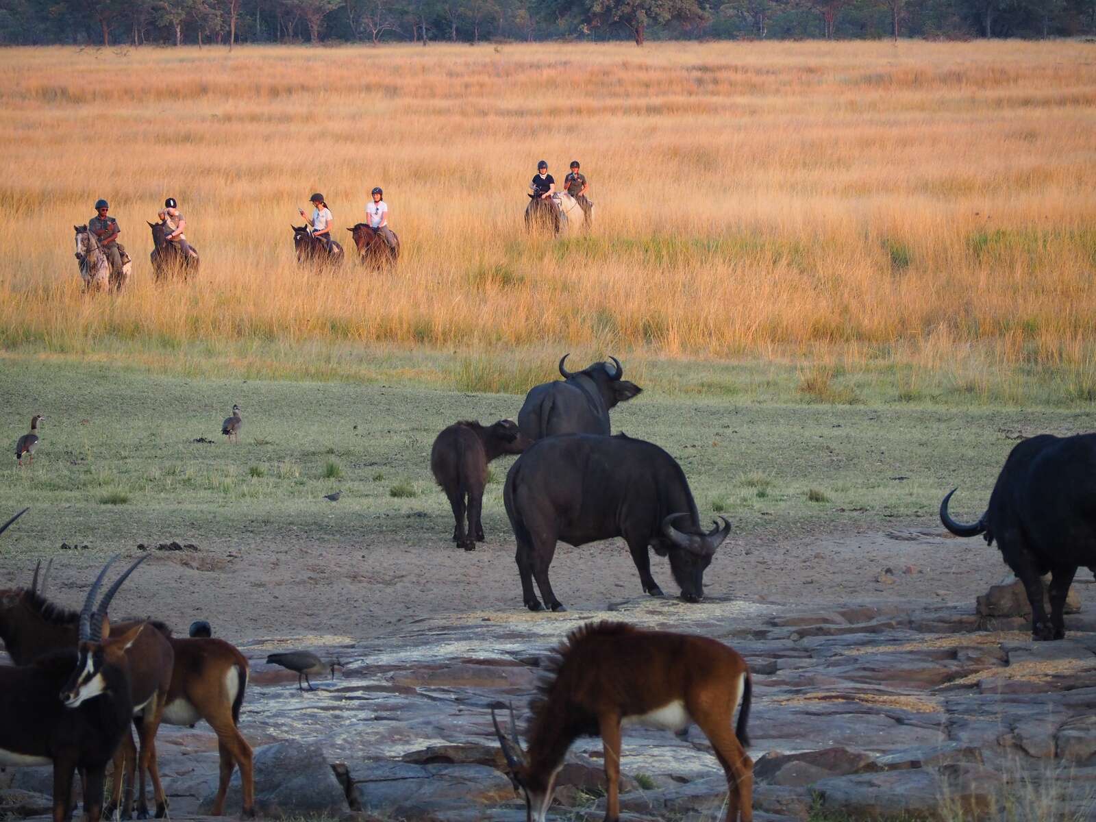 The News launches new travel podcast