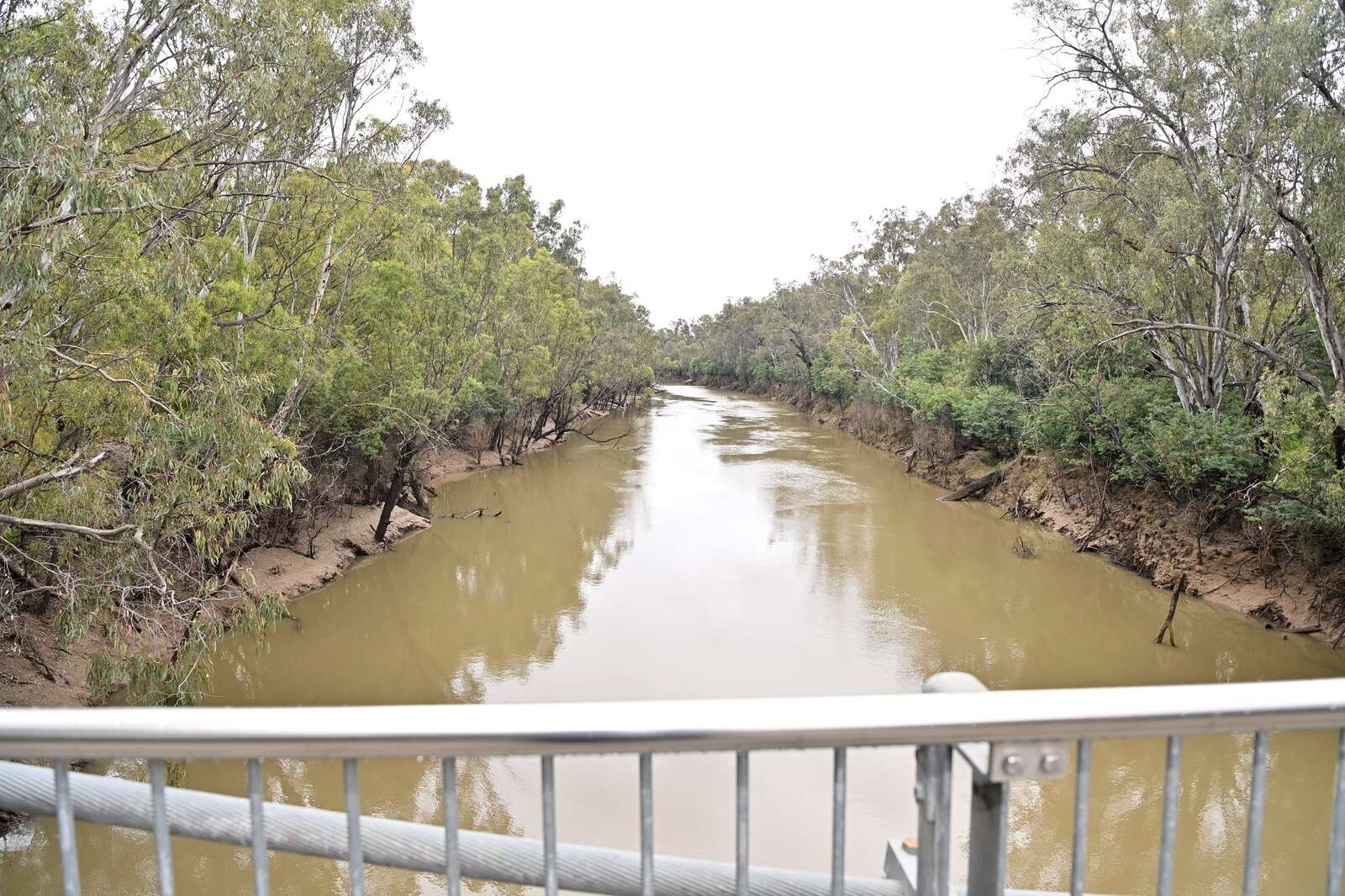 SRI meets basin authority | Country News