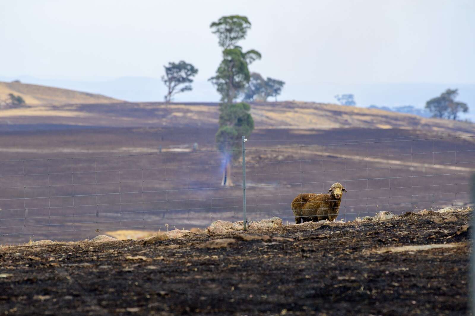 Farmers count the cost