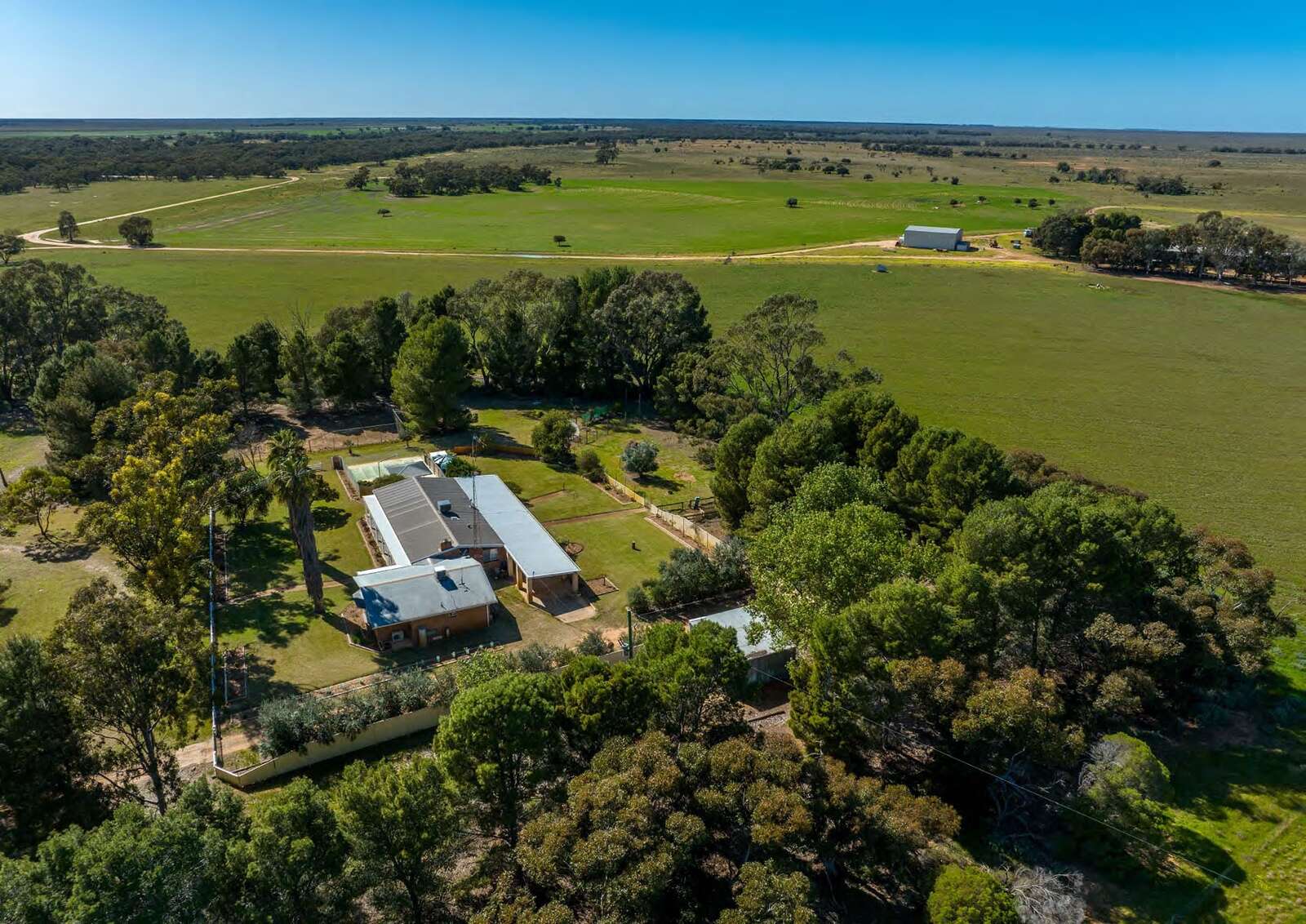 ‘Most significant’ sale for region Deniliquin Pastoral Times