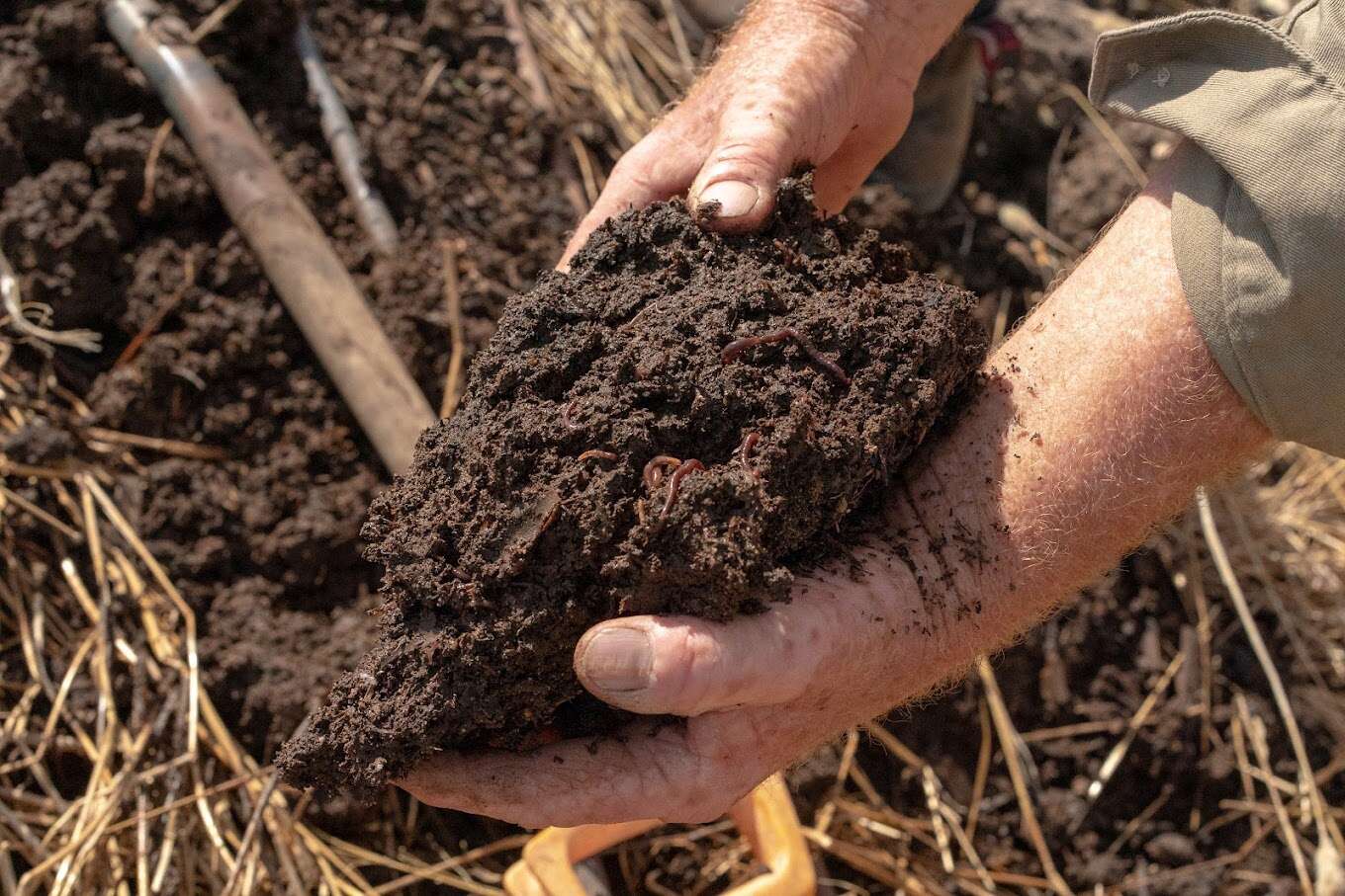 Soil superstars Seymour Telegraph