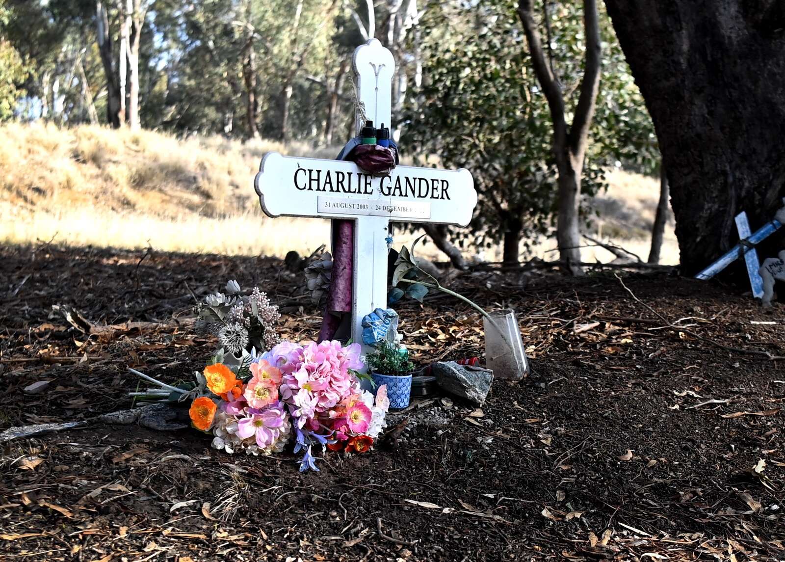 Sentence delivered after man killed and body burnt in car | Campaspe News