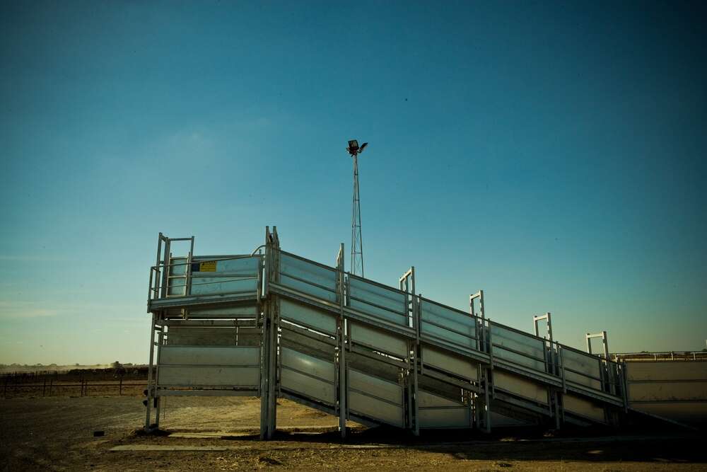 Is your animal fit to load?