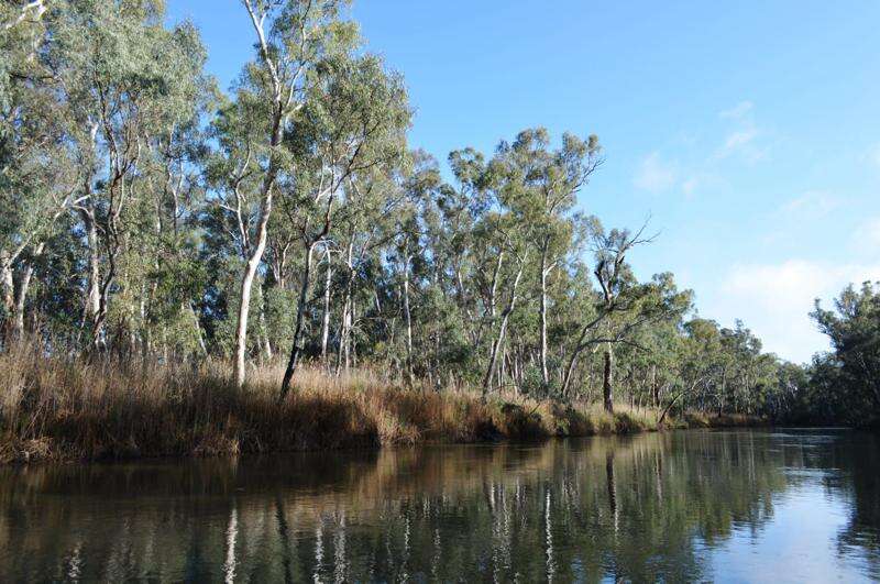Water Ministers argue over river constraints | Country News