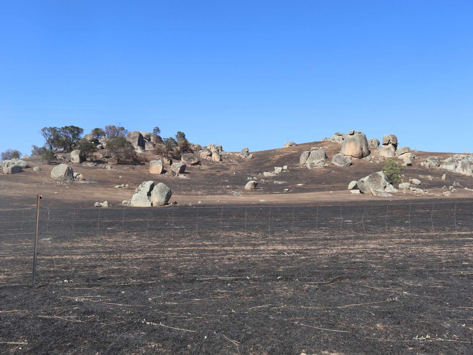 Free agistment by Goulburn Valley Water supports fire-affected farmers