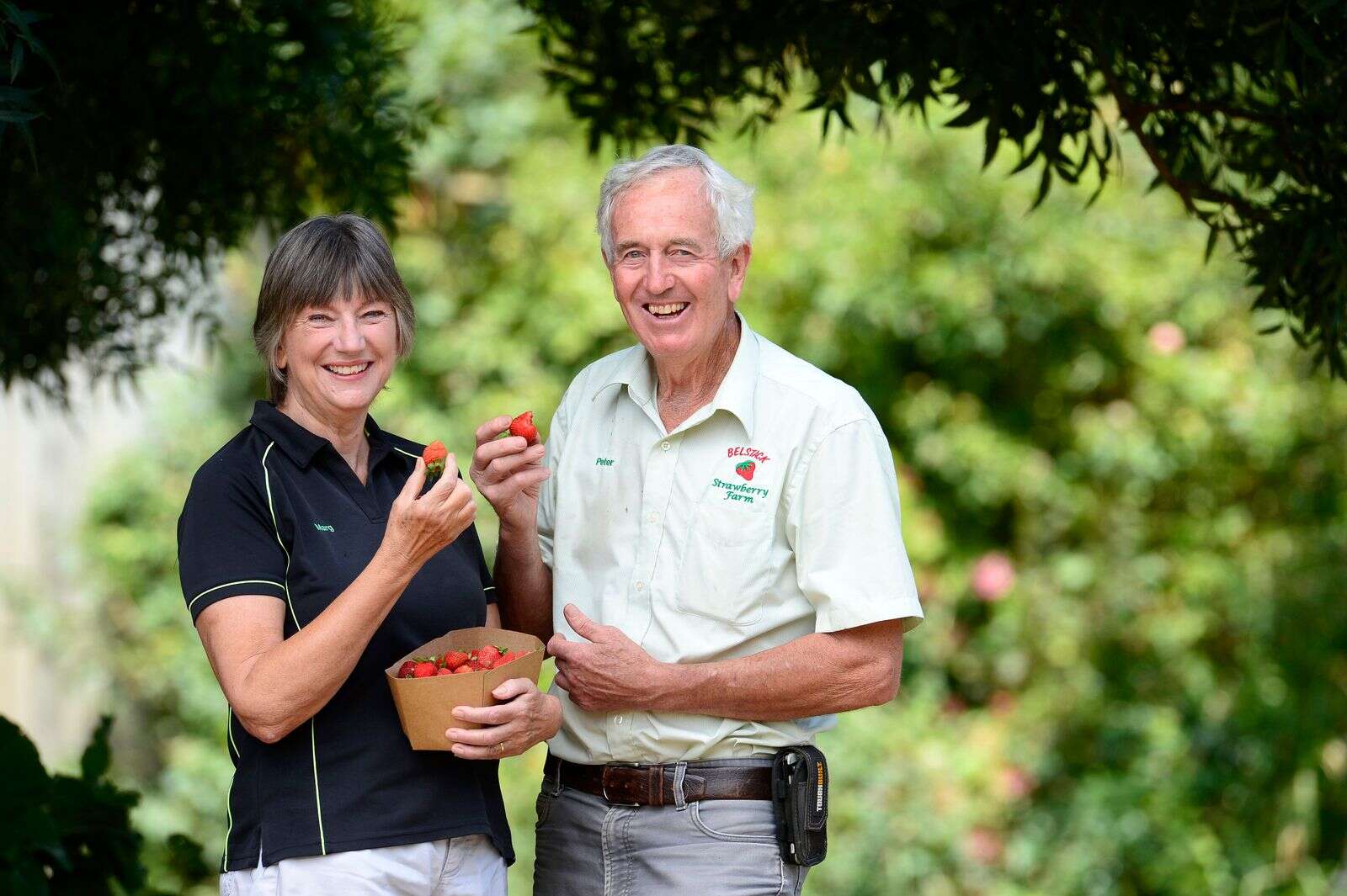 Closing the farm gates Belstack Strawberry Farm shutting up shop