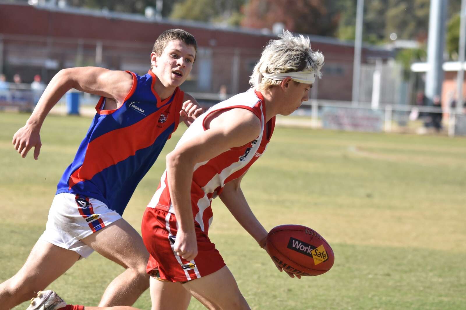 Bloods run rampant in record win | Cobram Courier