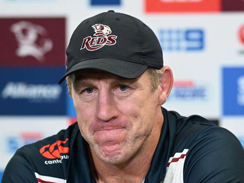 Brad Thorn to leave Queensland Reds at season's end Riverine Herald