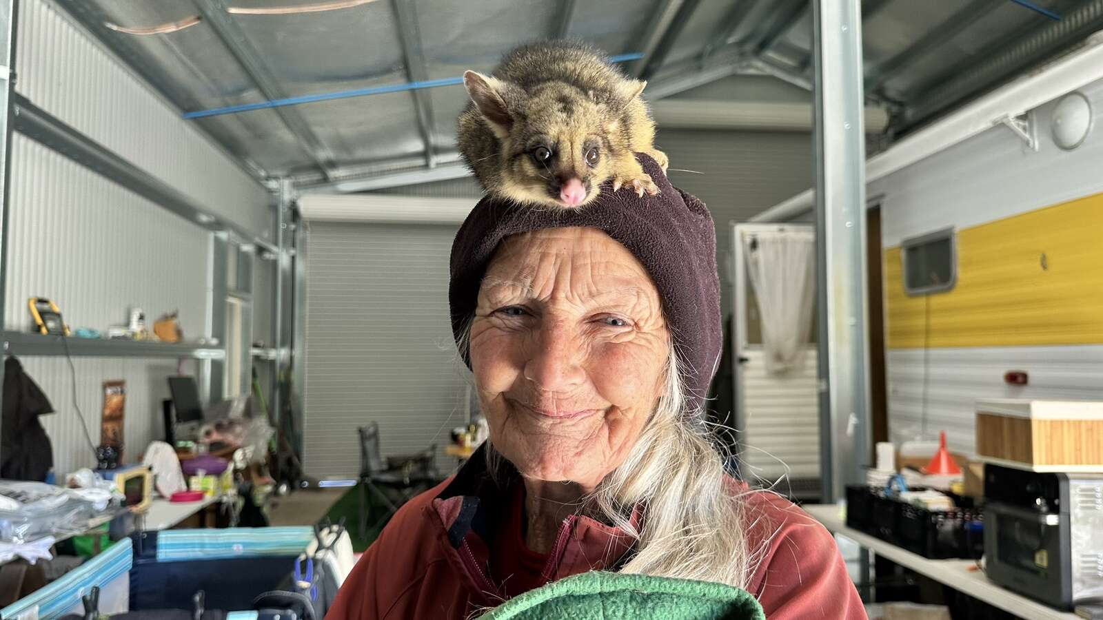 Robyn’s resilience shines as animal shelter rebuilds | Seymour Telegraph